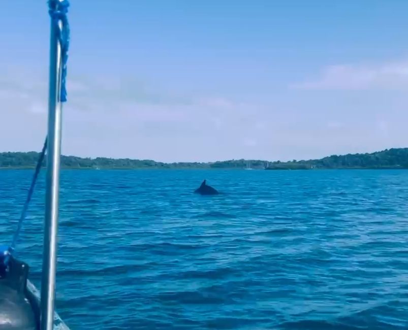 Bocas del Toro