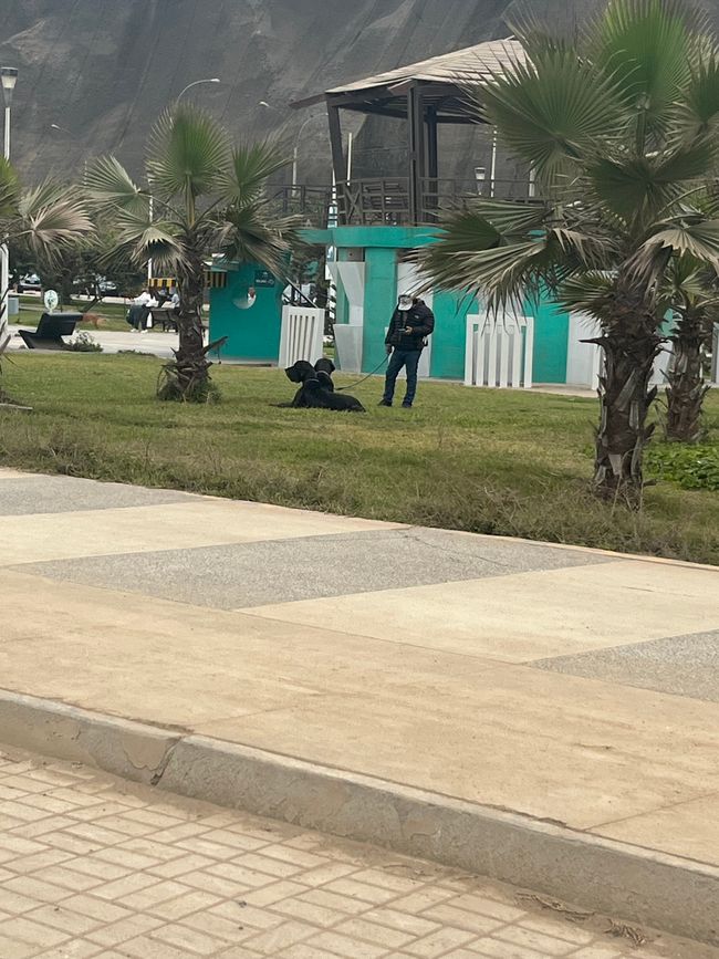 Tag 26

Lima