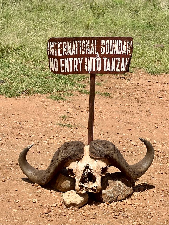 Luftballong över Masai Mara
