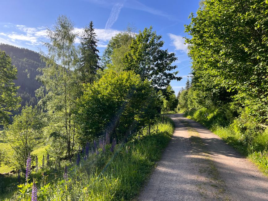 29 nach Hause