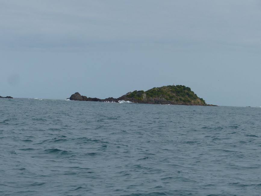 Brazil, Whale Watching