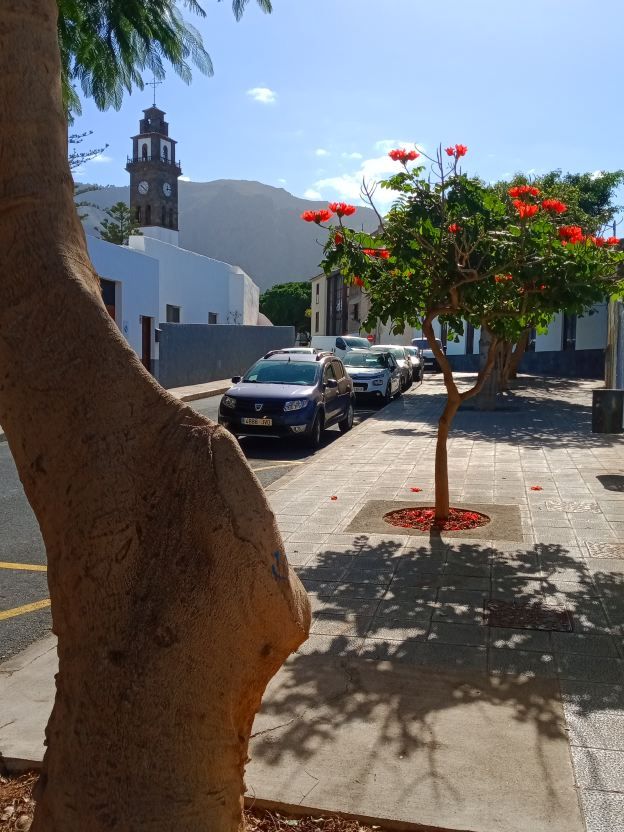 Buenavista del Norte