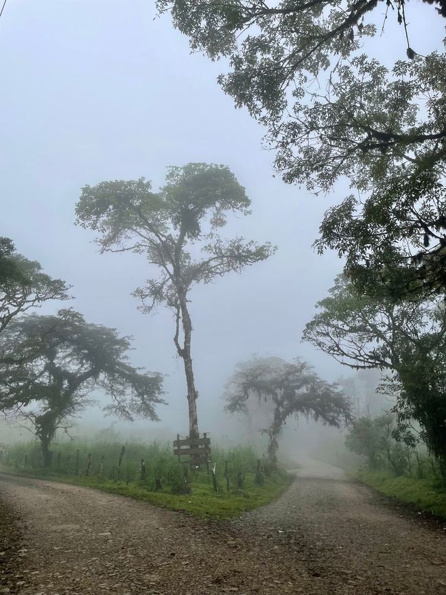 Miraflor - eine vergessene Gegend