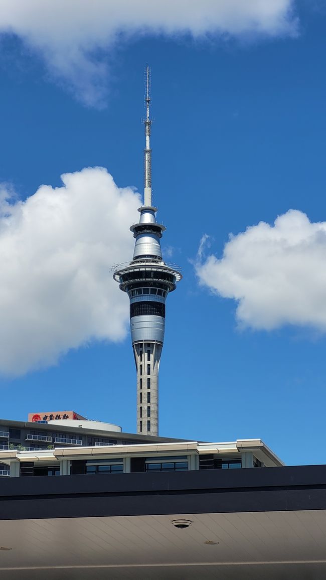 29.Januar-27.Februar 2025 Neuseeland
21.Februar