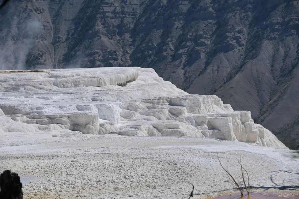Mammoth Hot Springs - Sinterterrassen