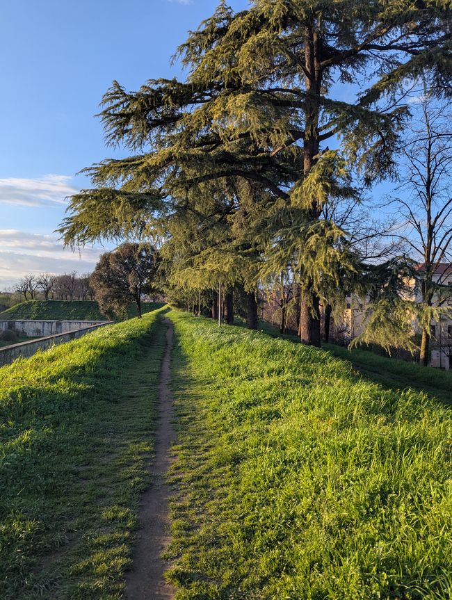 Verona 