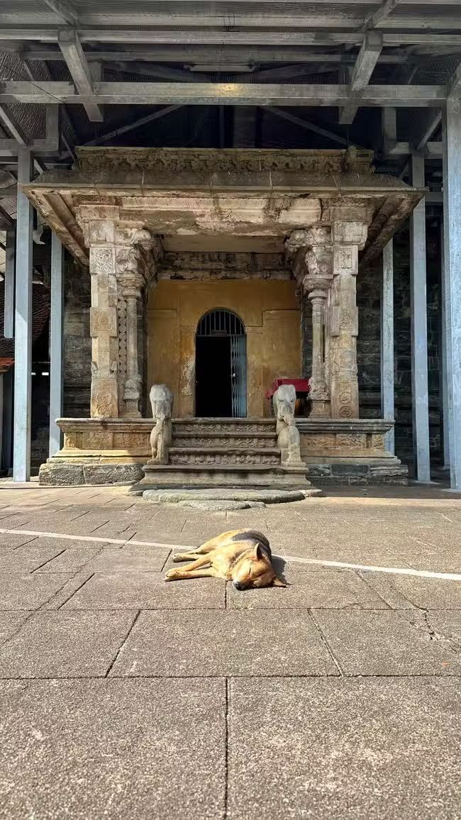 I tre templi