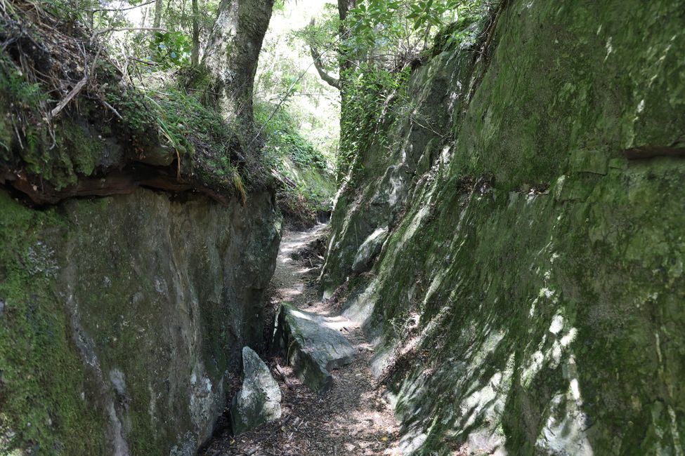Auf nach Paradise zu "Herr der Ringe"
