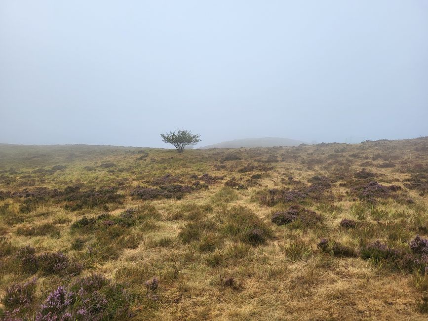 Wanderung Puy de Dôme 