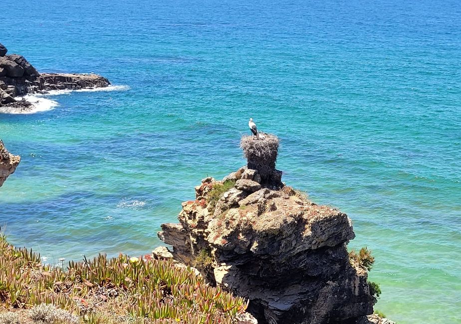 Porto Covo, bike and hike