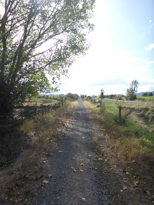 Hauraki Rail Trail