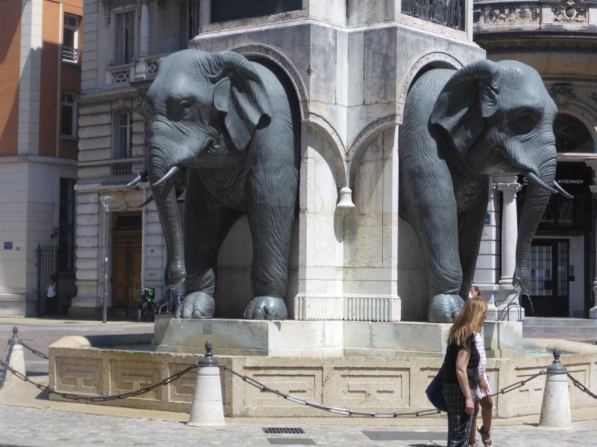 Der Elefantenbrunnen 