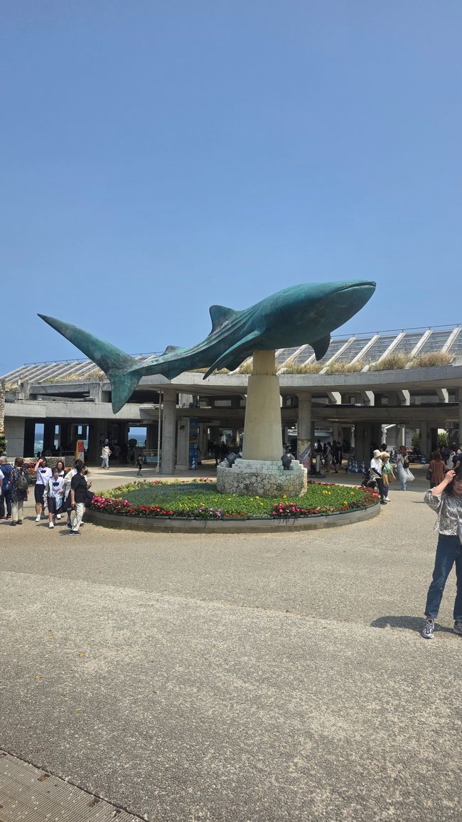 Okinawa Nuchi du takara (Life is the very thing we treasure)