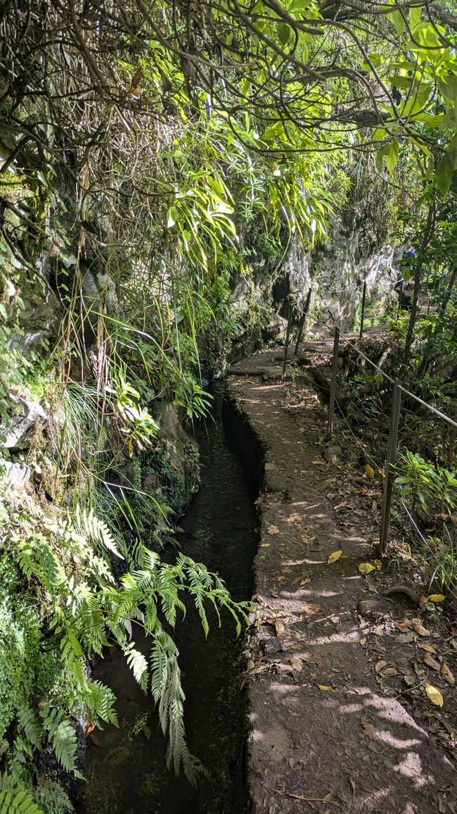Tag 14: Levada do Caldeirão Verde & Nordküste