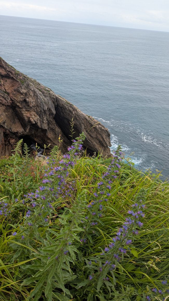 12. Etappe Camino del Norte von Pendueles nach Barro