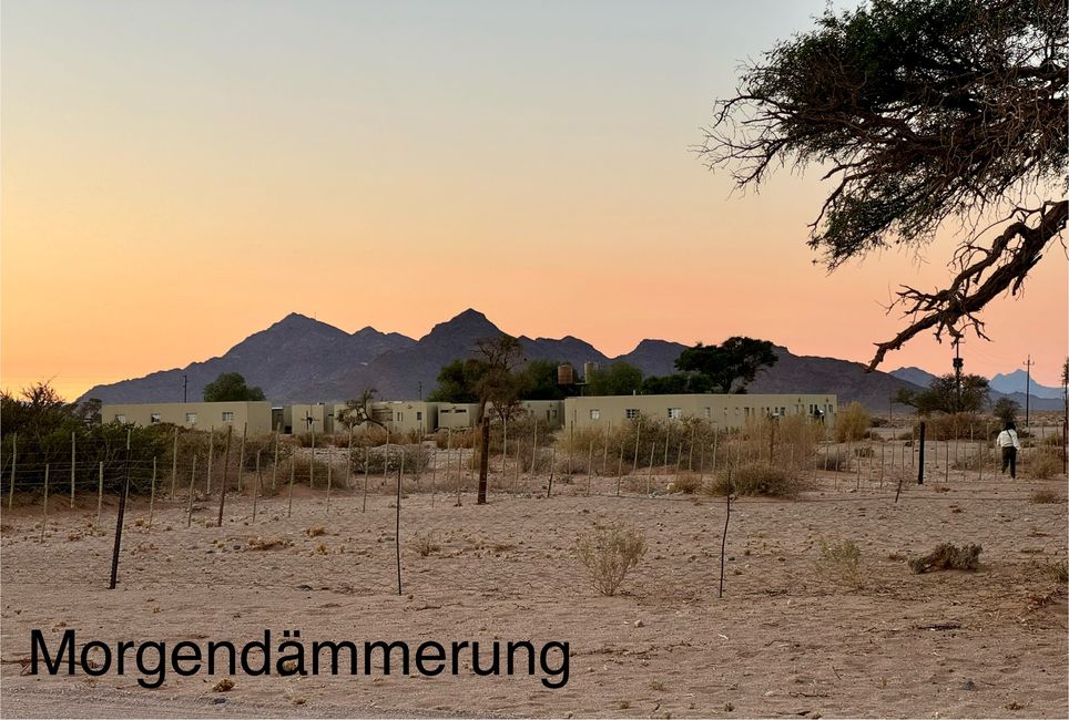 Dünenbesteigung in Namib Wüste