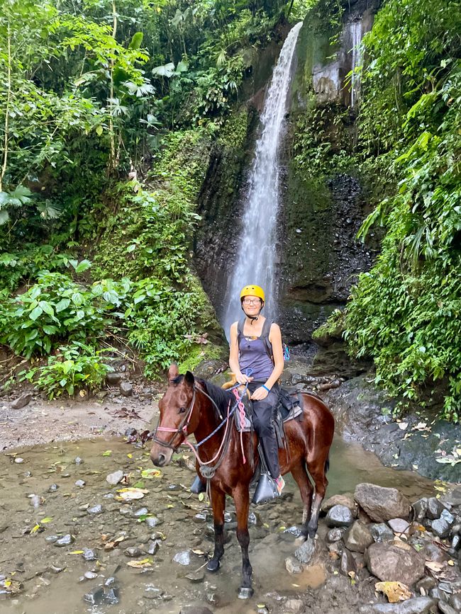 Die Entdeckung der Langsamkeit