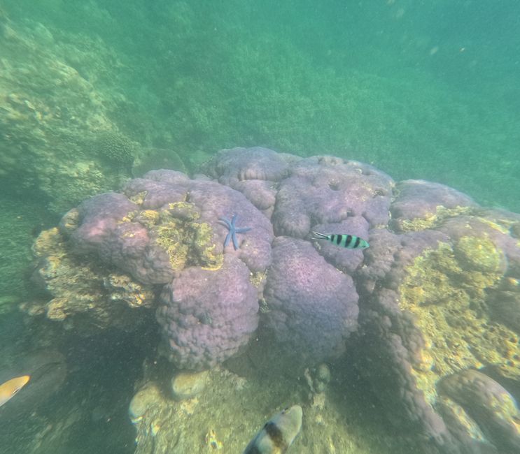 Etiqueta 17: Isla hopping frente a Lombok