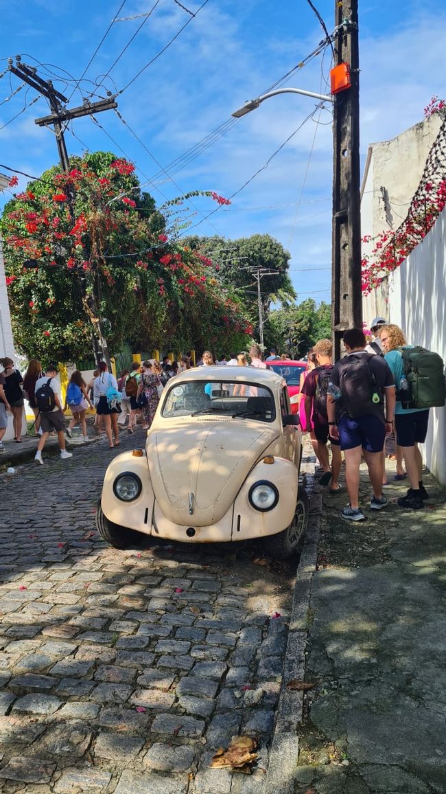 Brasilien Tag 17 - Ein Tag im Paradies