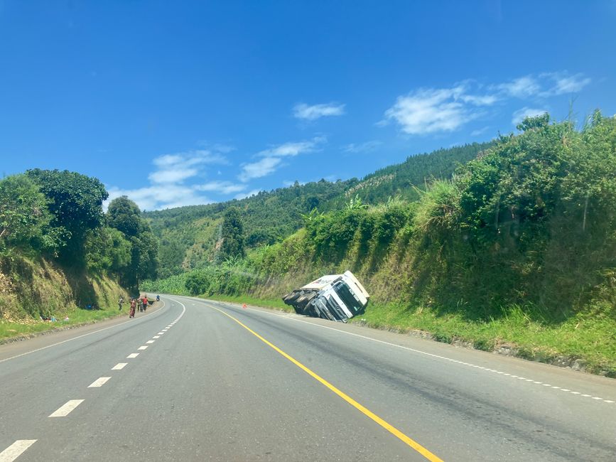 Schimpansen im Kalinzu Forest und Twin Lakes
