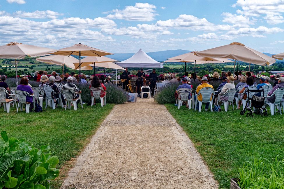 Jazz-Matinée im Klostergarten