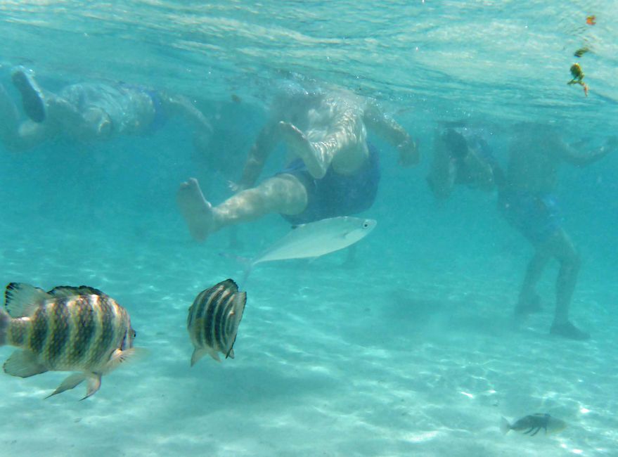 Mo orea
