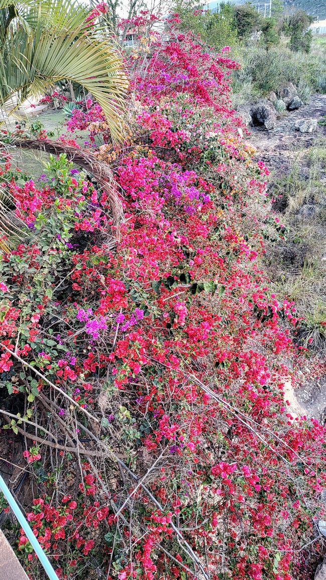 Brasilien Nationalpark Diamantes Teil I