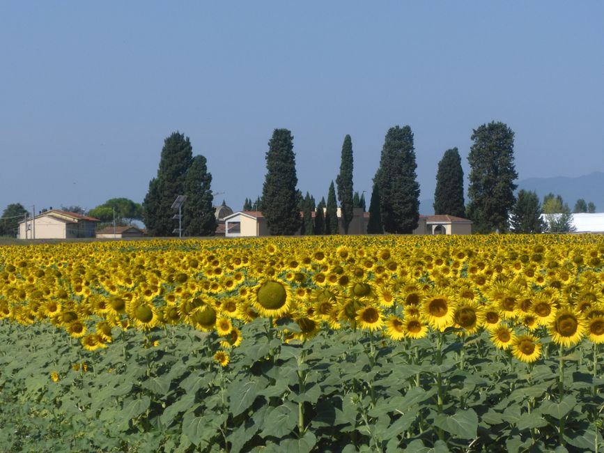 From La Spezia through Tuscany and the Marche to Ancona by bike. 24.8.24