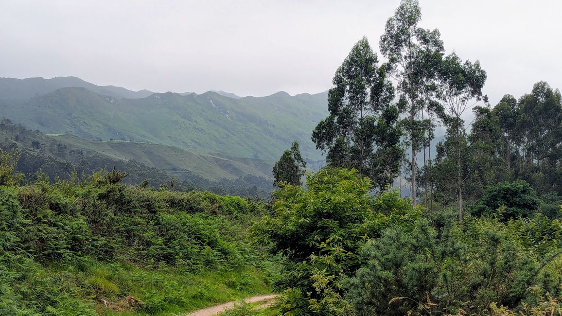 12. Etappe Camino del Norte von Pendueles nach Barro
