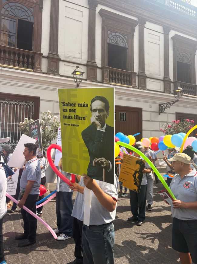 Qualche manifestazione per l'istruzione
