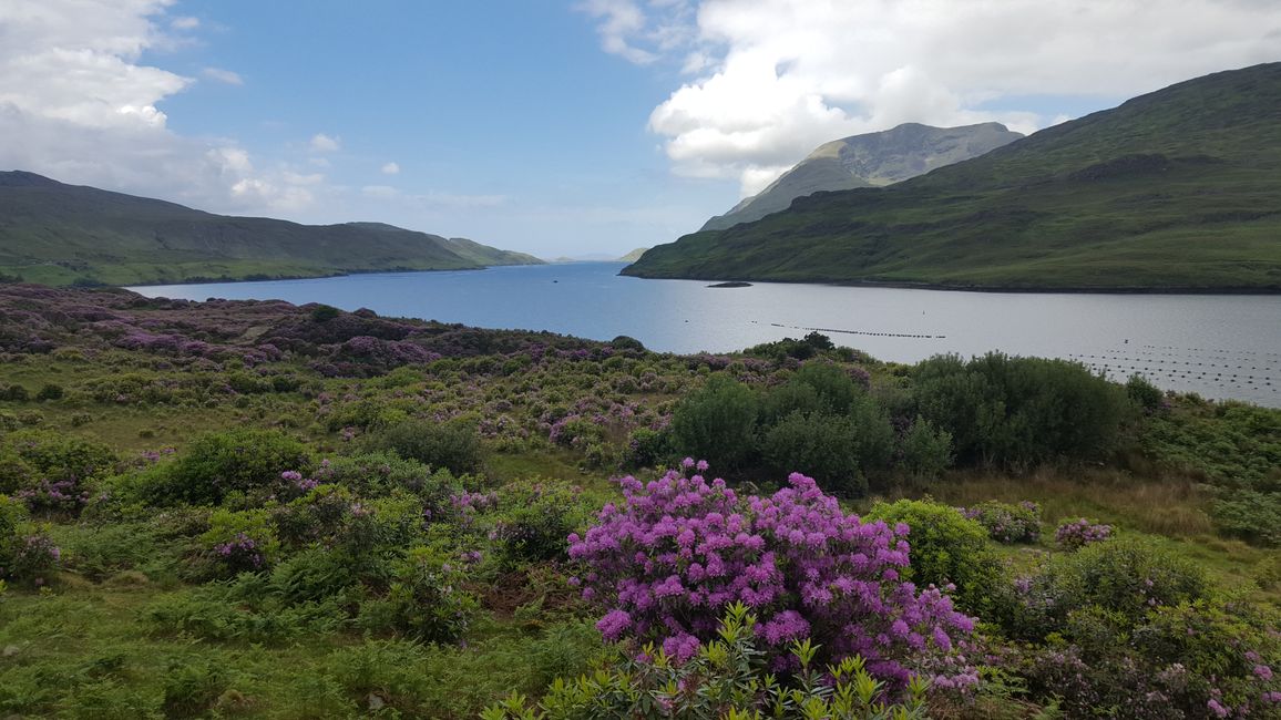Irland