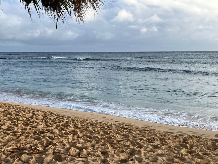 D18 - Yoga a las 7 am con Norbi y playa Poipu con focas monje, tortugas marinas y Humuhumunukunukuapua‘a