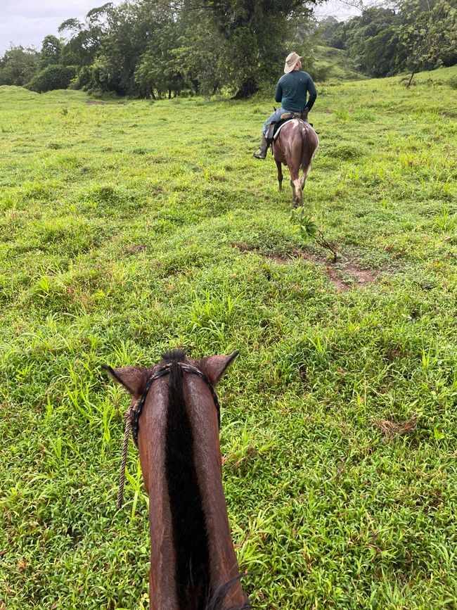 Ausritt in die nähere Umgebung