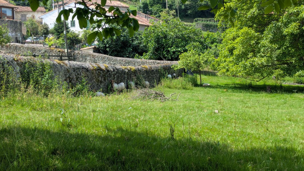 10. Etappe Camino del Norte von Comillas nach Serdio