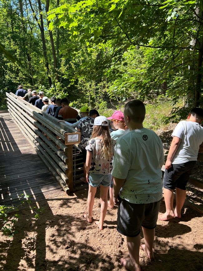 School trip to Petzow