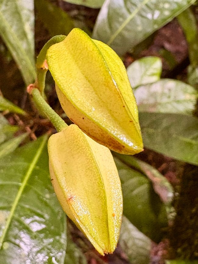 Unterwegs in Costa Rica