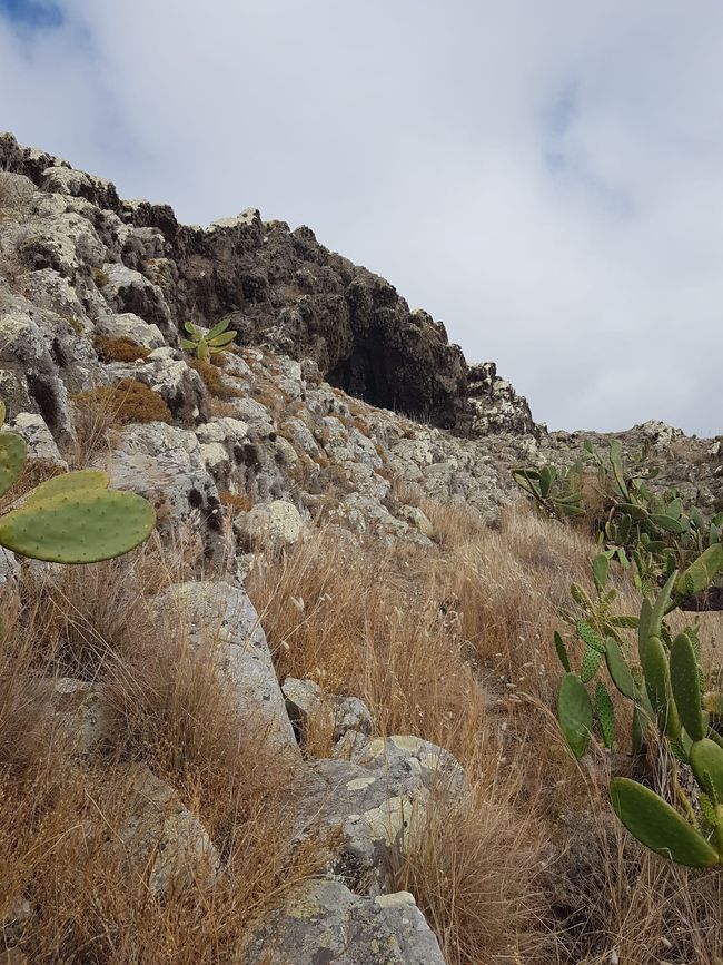Tag 3: Porto Santo - Geheime Höhlen & bizzare Felsen am Meer