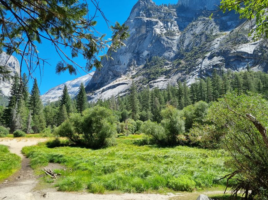 Kalifornien 2025, Tag 6, Yosemite National Park