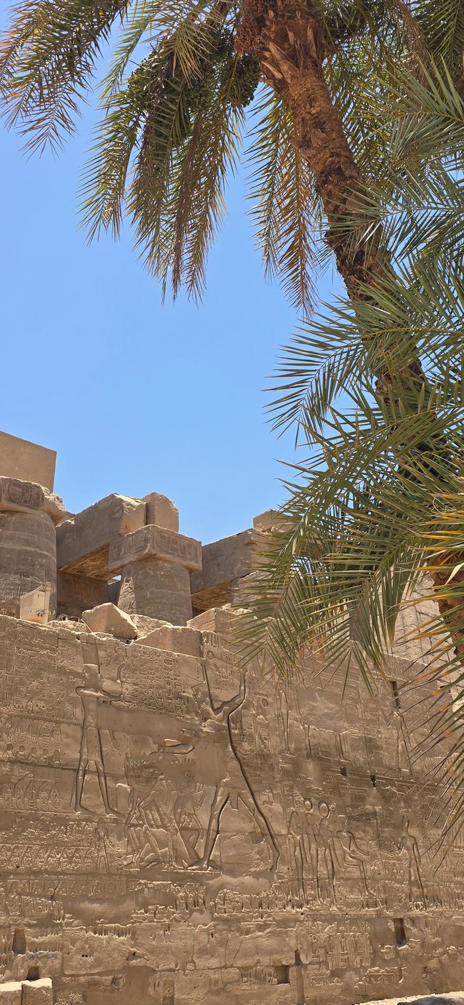Zwischen Urlaub und Nebenwirkungen- Ägypten hautnah