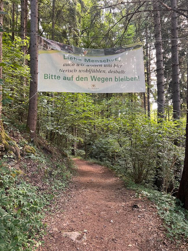 28 Wutachschlucht Pro Wolermoos