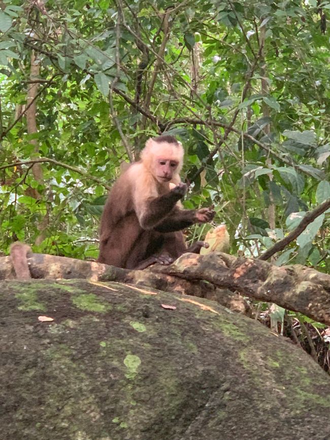 Tag 13: Parco Tayrona f7f9