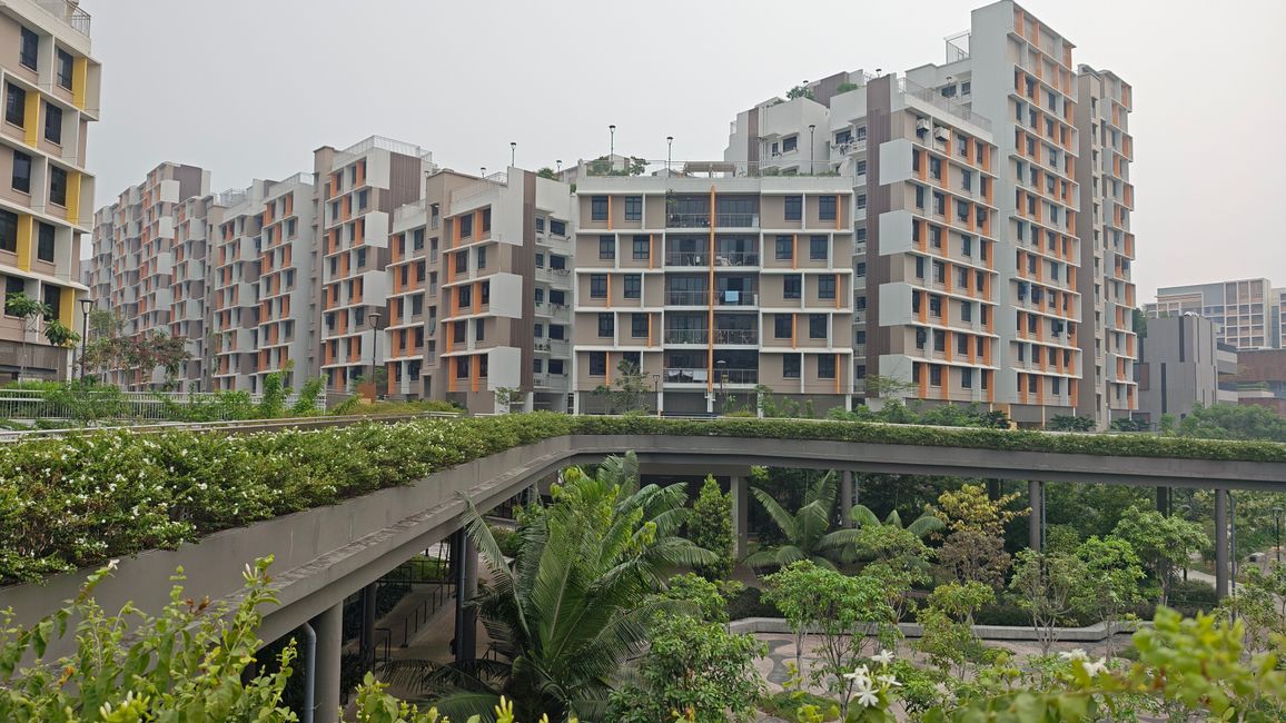 Habiter de manière naturelle et harmonieuse à Singapour