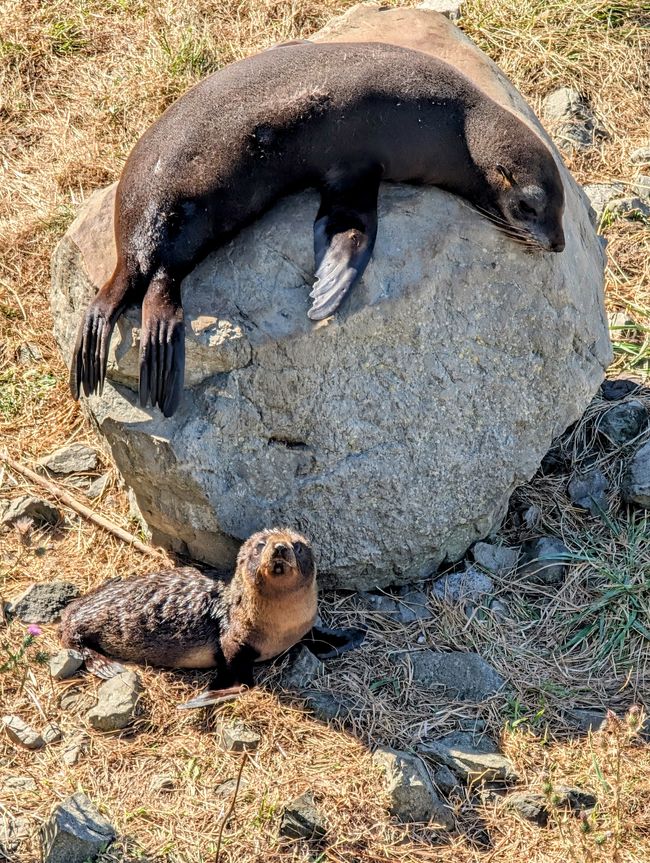 Dancing on the ferry!