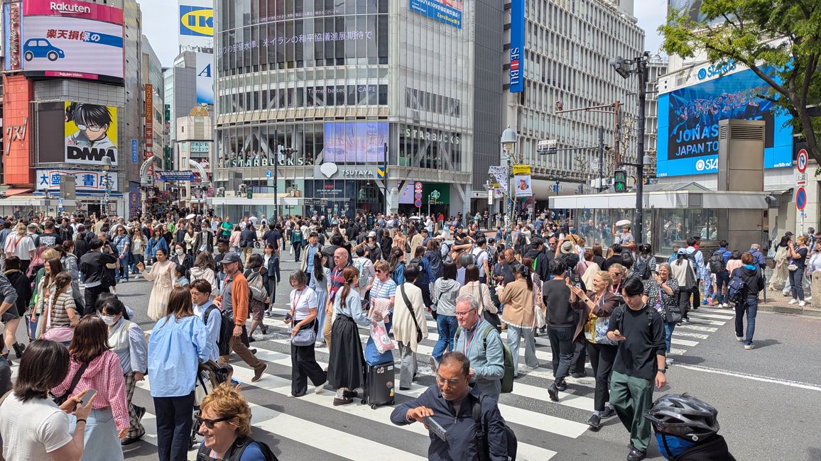Sightseeing in Shibuya und Shinjuku