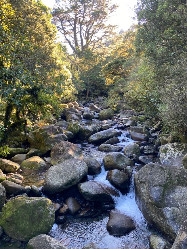 Percorso Cascate di Wairere