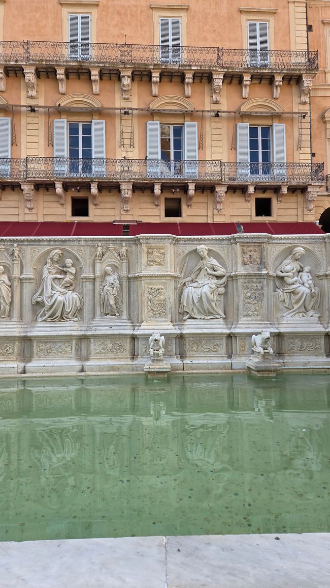 Fonte Gaia