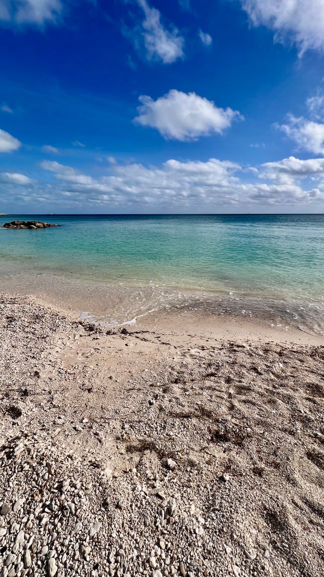 Tag 396 - Southernmost point & Duval Street by Golf Cart