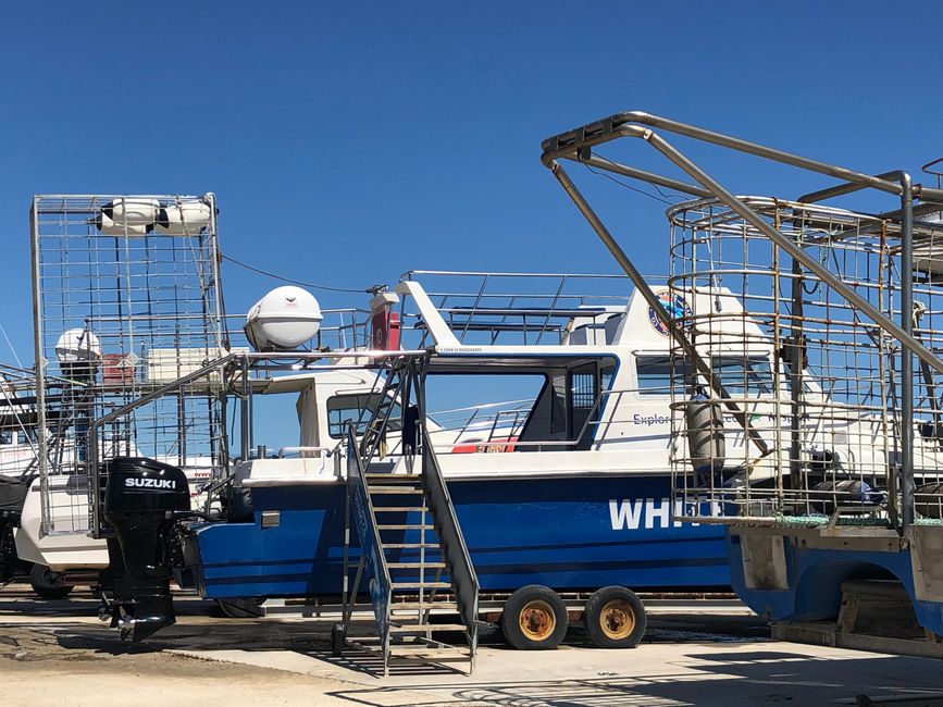 Unser Boot - wird mit Fahrgästen ins Wasser gelassen