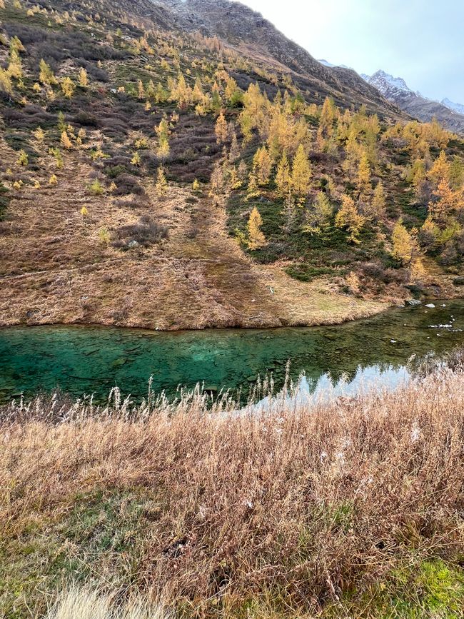 Lötschental