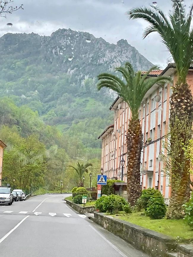 Palmen und Gebirge – eine seltene Kombi.